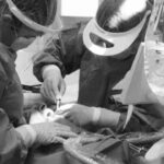 Bild- Sigtuna Dental personal genomför en operation